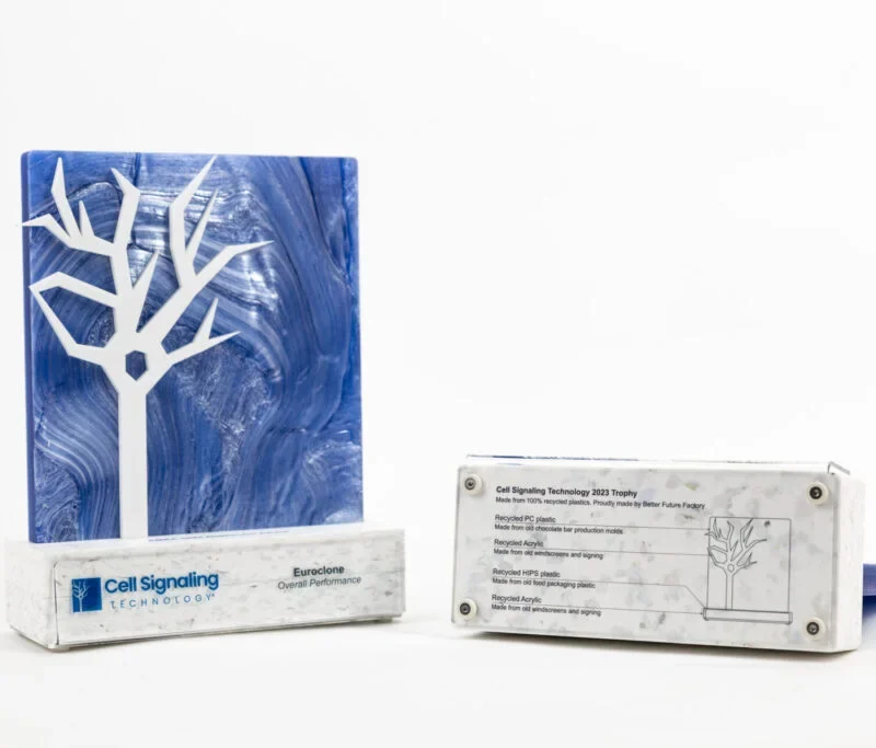 Eco-Friendly Awards: Sustainable Recognition for Events