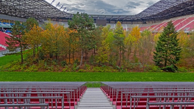 Really different trophies: 6 ways to create a unique sports award 3 'For Forest' Art installation depicting a forest grown within a stadium