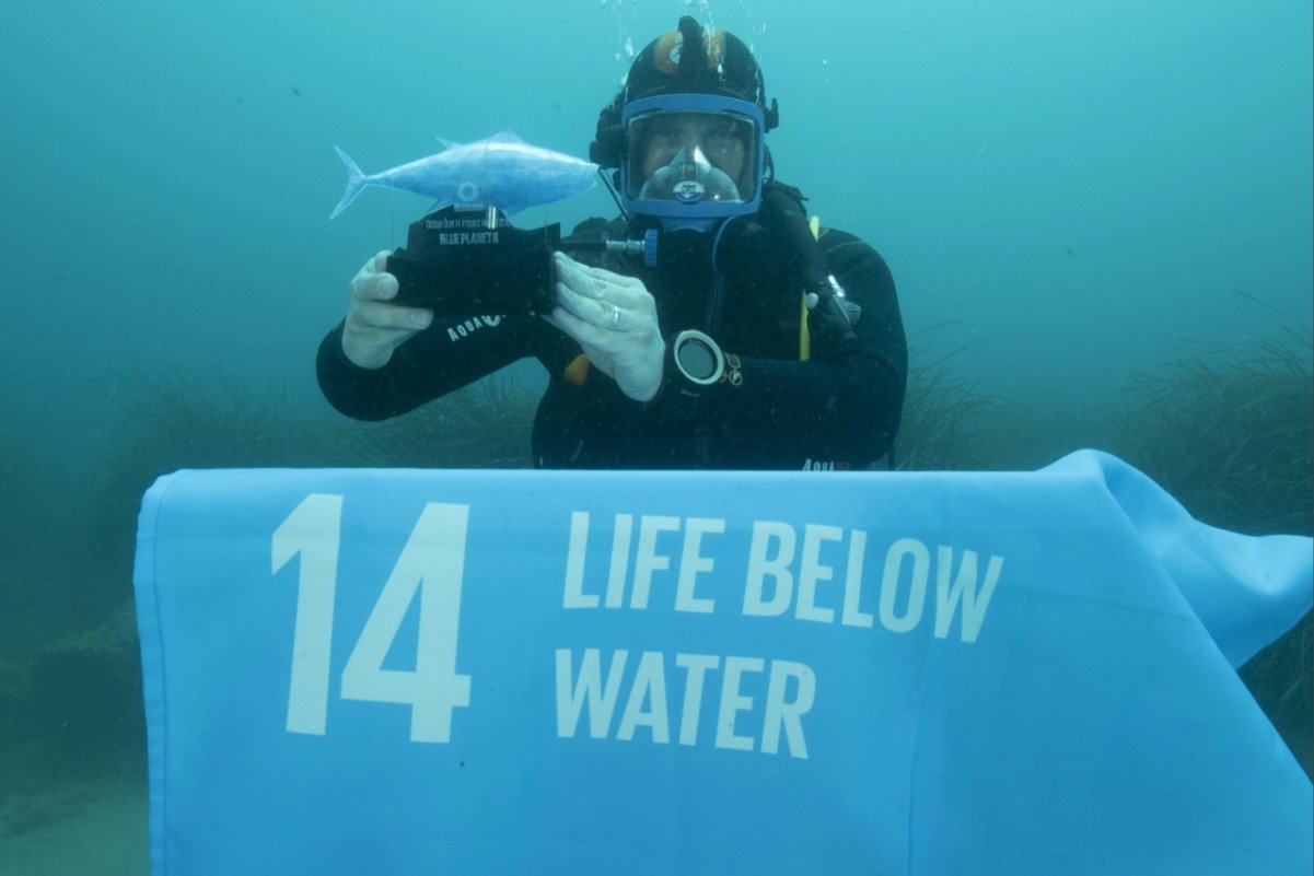 De kracht van op maat gemaakte trofeeën en awards 2 diver fish 1
