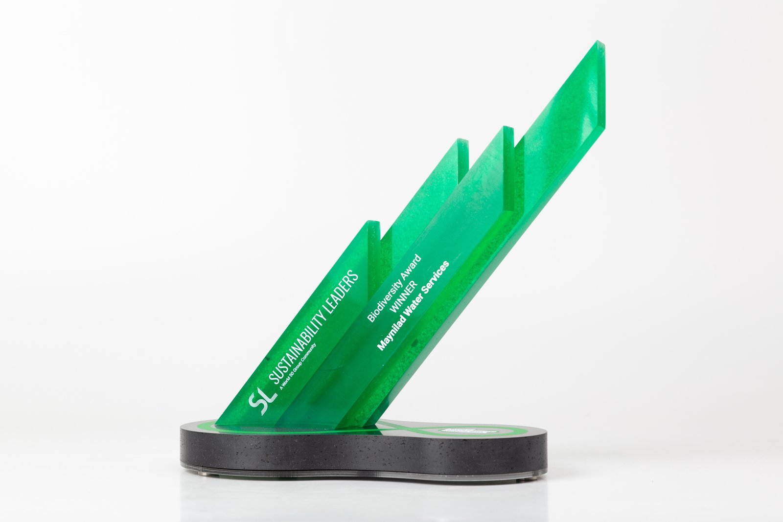 Where to order event trophies: a practical guide to finding the right supplier 3 IMG 8834