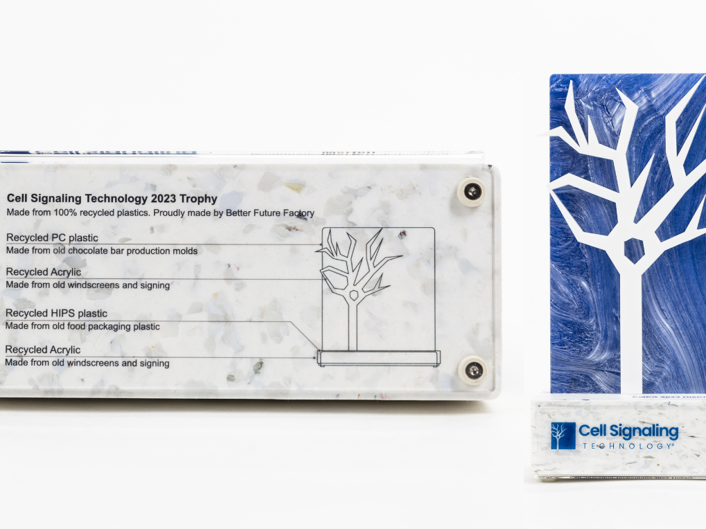 Home 83 Cell Signalling Technology Material Passport edited